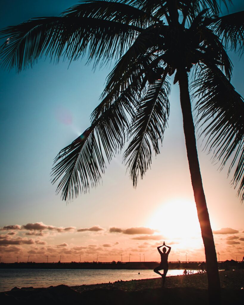 fortaleza beach