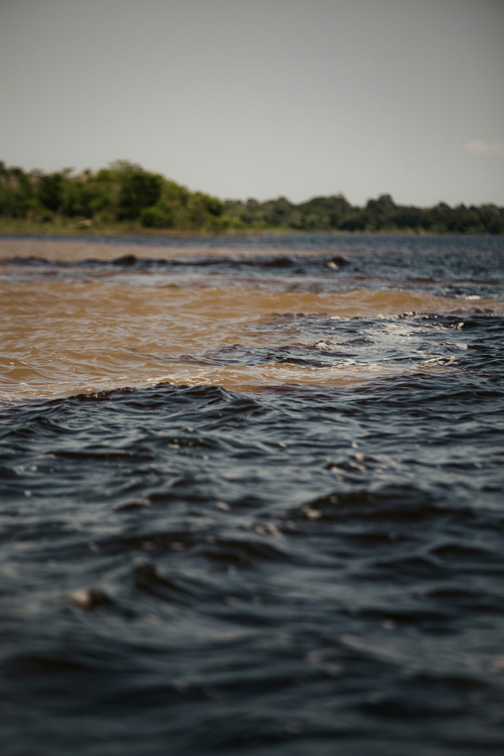 Manaus river